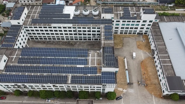 388vip太阳集团快讯|多点开花,喜报频传