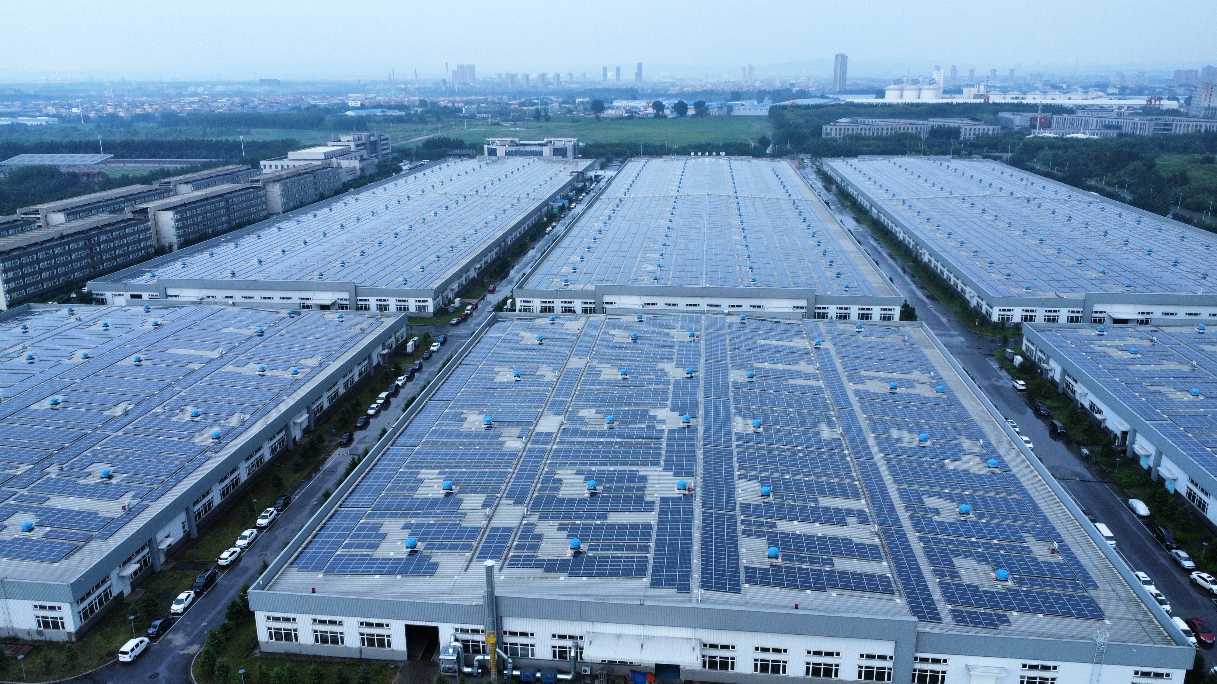 388vip̫ŵ    ΪԴɶ